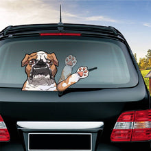 Load image into Gallery viewer, Bulldog Sticker
